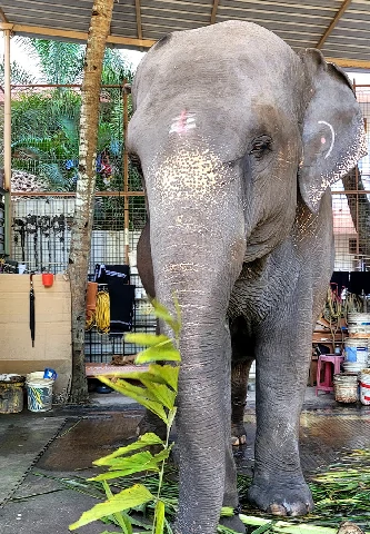 fotos-viagem-india-11.webp