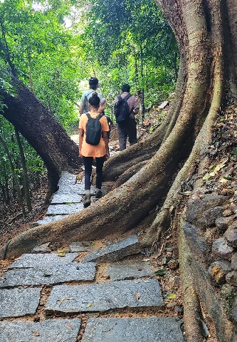 fotos-viagem-india-9.webp